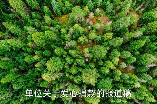 單位關(guān)于愛心捐款的報道稿