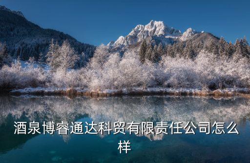  酒泉博睿通達科貿有限責任公司怎么樣