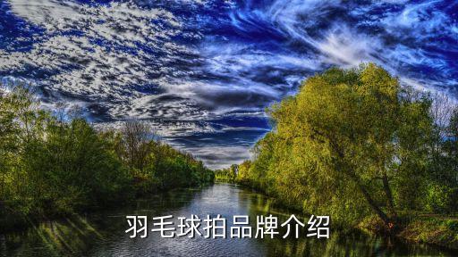 羽毛球拍品牌介紹