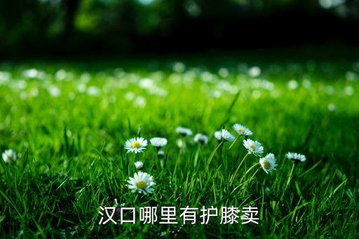 漢口哪里有護(hù)膝賣