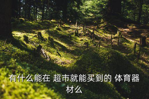 有什么能在 超市就能買到的 體育器材么