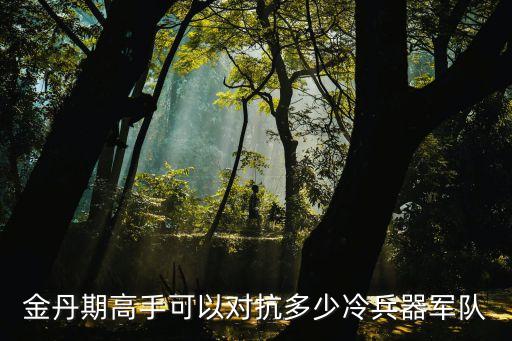 金丹期高手可以對(duì)抗多少冷兵器軍隊(duì)
