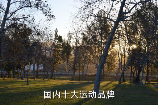 五頻道體育用品,體育用品創(chuàng)業(yè)計(jì)劃書