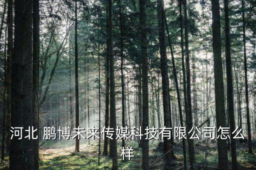 河北 鵬博未來(lái)傳媒科技有限公司怎么樣