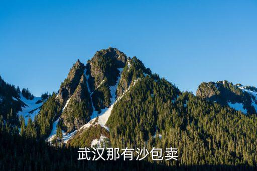 武漢那有沙包賣(mài)