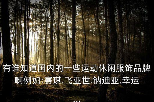 有誰知道國內(nèi)的一些運(yùn)動(dòng)休閑服飾品牌啊例如:賽琪.飛亞世.鈉迪亞.幸運(yùn)...