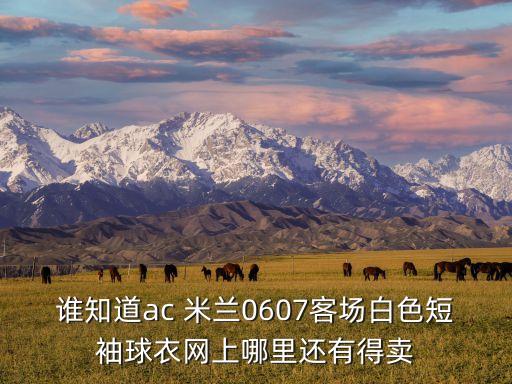 誰知道ac 米蘭0607客場白色短袖球衣網(wǎng)上哪里還有得賣