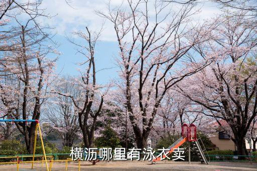 橫瀝哪里有泳衣賣