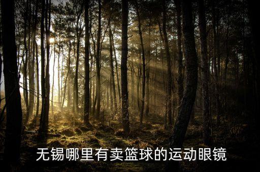  無錫哪里有賣籃球的運動眼鏡