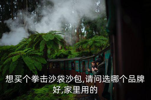 想買個(gè)拳擊沙袋沙包,請問選哪個(gè)品牌好,家里用的