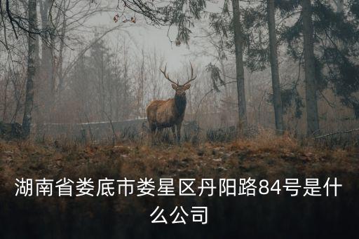 湖南省婁底市婁星區(qū)丹陽(yáng)路84號(hào)是什么公司