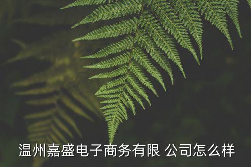  溫州嘉盛電子商務有限 公司怎么樣