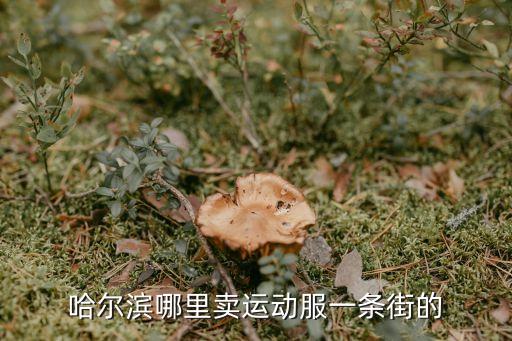 哈爾濱哪里賣運動服一條街的
