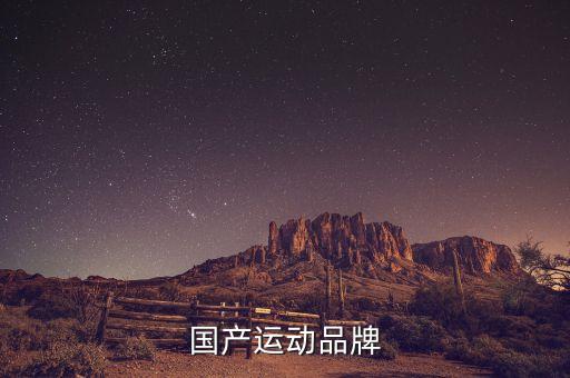 國(guó)產(chǎn)運(yùn)動(dòng)品牌