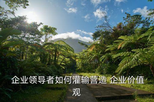  企業(yè)領(lǐng)導(dǎo)者如何灌輸營(yíng)造 企業(yè)價(jià)值觀
