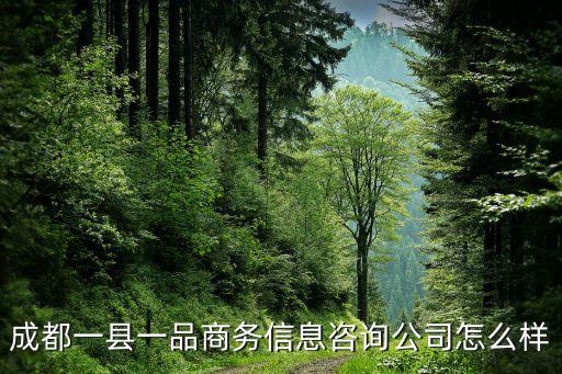 成都一縣一品商務信息咨詢公司怎么樣