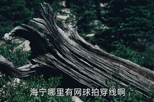  海寧哪里有網(wǎng)球拍穿線啊