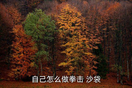 自己怎么做拳擊 沙袋