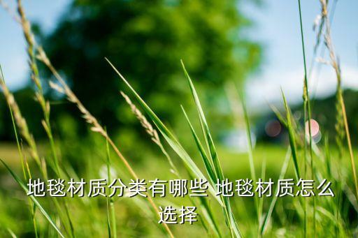 地毯材質分類有哪些 地毯材質怎么選擇