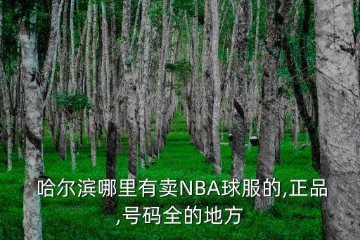  哈爾濱哪里有賣NBA球服的,正品,號碼全的地方