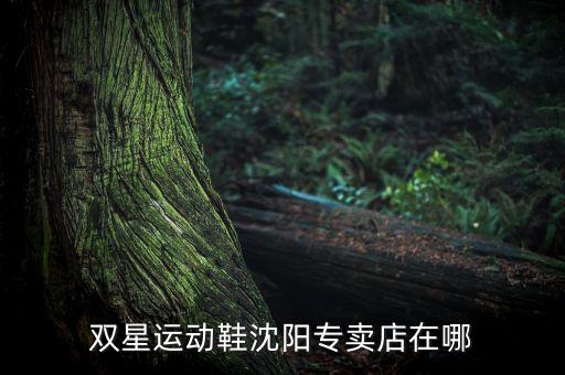 雙星運動鞋沈陽專賣店在哪