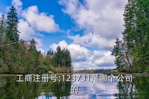 工商注冊(cè)號(hào):123731是哪個(gè)公司的