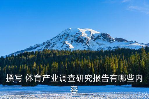 撰寫 體育產(chǎn)業(yè)調(diào)查研究報(bào)告有哪些內(nèi)容