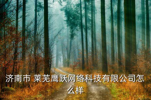 濟(jì)南市 萊蕪鷹躍網(wǎng)絡(luò)科技有限公司怎么樣