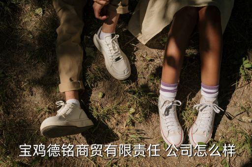  寶雞德銘商貿(mào)有限責(zé)任 公司怎么樣
