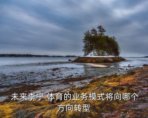  未來李寧 體育的業(yè)務(wù)模式將向哪個(gè)方向轉(zhuǎn)型