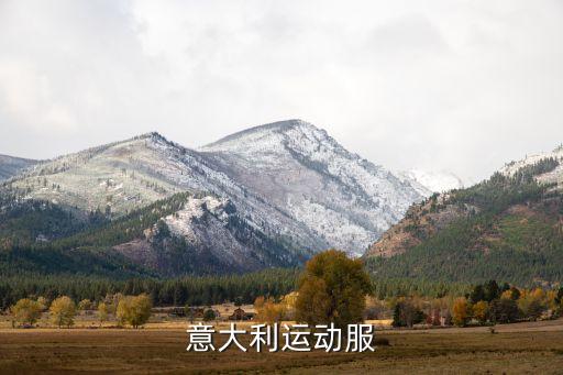 體育用品系統(tǒng)簡(jiǎn)介,北京力生體育用品總公司簡(jiǎn)介