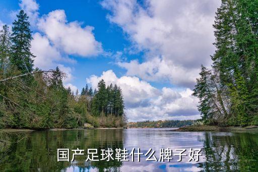 國(guó)產(chǎn)足球鞋什么牌子好