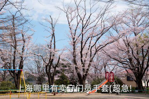 海淀體育用品大賣(mài)場(chǎng)