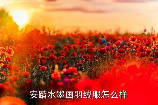 安踏水墨畫羽絨服怎么樣