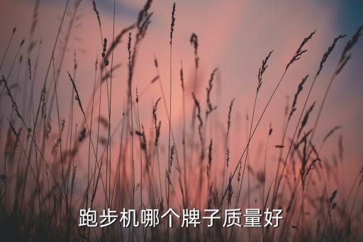 跑步機(jī)哪個牌子質(zhì)量好