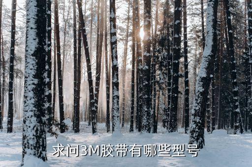 求問3M膠帶有哪些型號