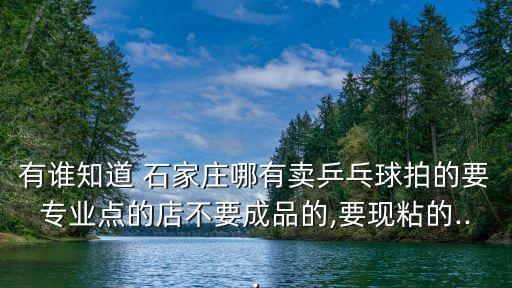 有誰知道 石家莊哪有賣乒乓球拍的要專業(yè)點(diǎn)的店不要成品的,要現(xiàn)粘的...