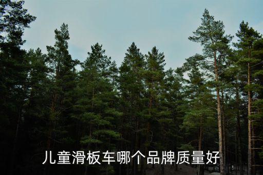 兒童滑板車(chē)哪個(gè)品牌質(zhì)量好