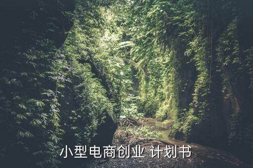 小型電商創(chuàng)業(yè) 計劃書