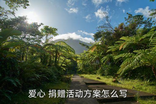 愛心 捐贈(zèng)活動(dòng)方案怎么寫