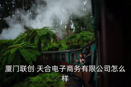 廈門聯(lián)創(chuàng) 天合電子商務(wù)有限公司怎么樣