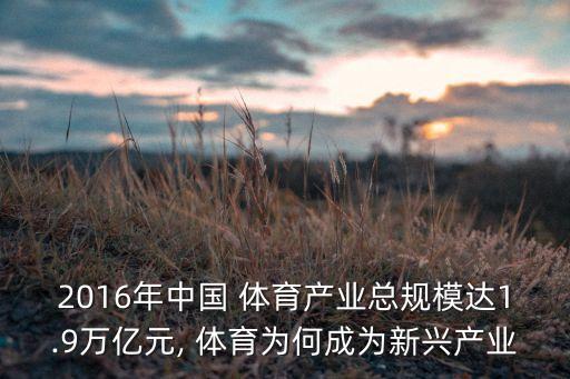 2016年中國 體育產(chǎn)業(yè)總規(guī)模達(dá)1.9萬億元, 體育為何成為新興產(chǎn)業(yè)