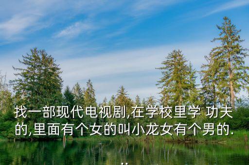 找一部現(xiàn)代電視劇,在學校里學 功夫的,里面有個女的叫小龍女有個男的...