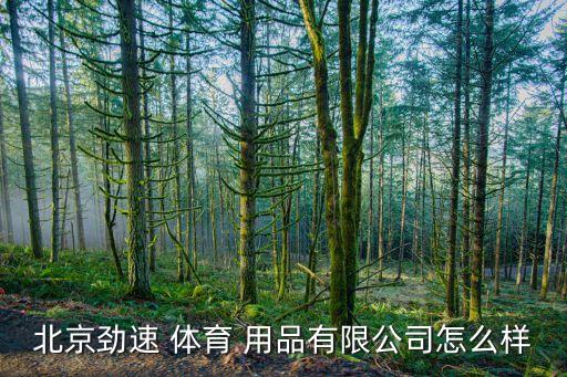 北京勁速 體育 用品有限公司怎么樣