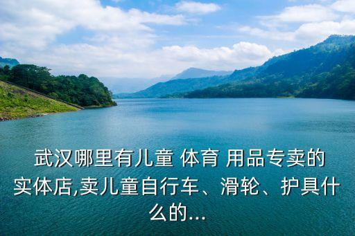  武漢哪里有兒童 體育 用品專賣的實體店,賣兒童自行車、滑輪、護具什么的...