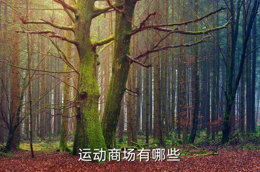 廣場體育用品都有哪些,奉天惠體育用品廣場