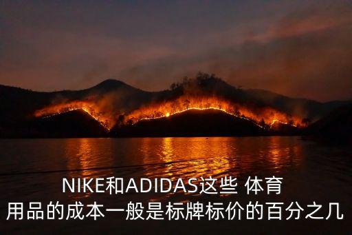 NIKE和ADIDAS這些 體育 用品的成本一般是標(biāo)牌標(biāo)價(jià)的百分之幾