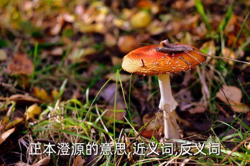 正本澄源的意思,近義詞,反義詞
