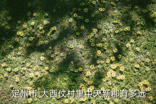  定州市 大西仗村里中天新郡有多遠