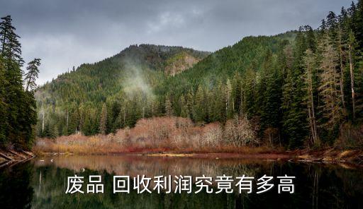 廢品 回收利潤究竟有多高